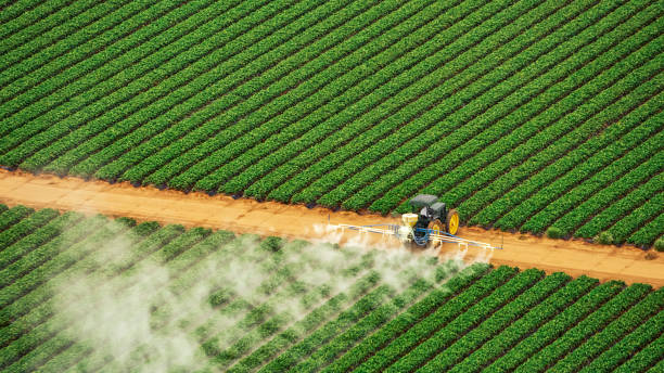 Pest Control Cost in Fleming Island, FL